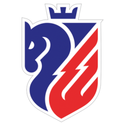 博托沙尼